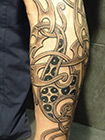 tattoo - gallery1 by Zele - celtic and viking - 2012 08 DSC01953